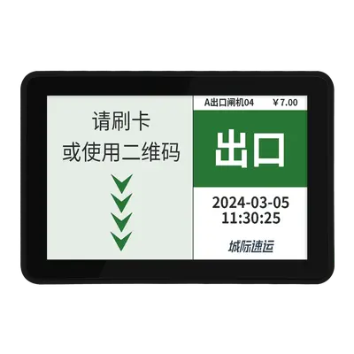 P M1 10.1" 智能中心控制屏